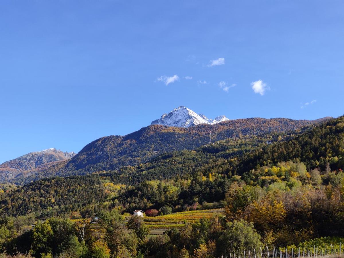 Au Fond Du Bourg Apartment Aosta Exterior foto